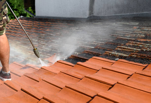 Pressure Washing Services for Businesses in York, AL